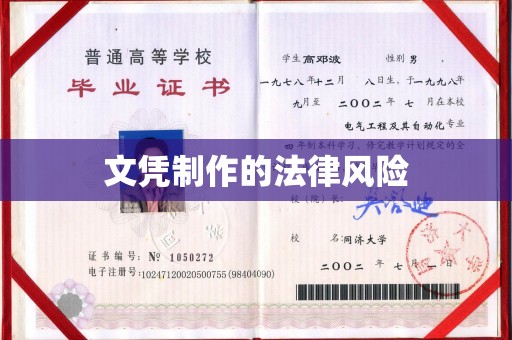 元谋文凭制作的法律风险