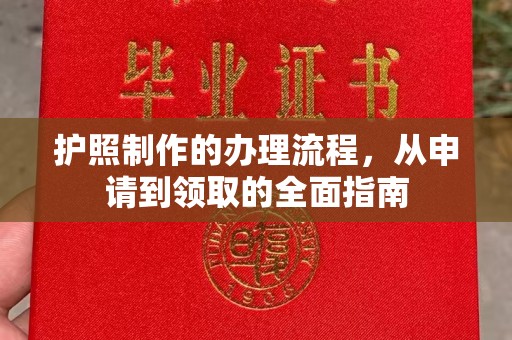 元谋护照制作的办理流程，从申请到领取的全面指南