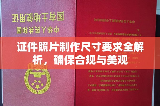 元谋证件照片制作尺寸要求全解析，确保合规与美观