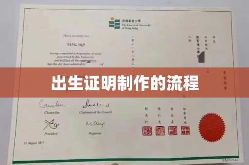 元谋出生证明制作的流程