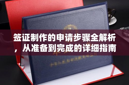 元谋签证制作的申请步骤全解析，从准备到完成的详细指南