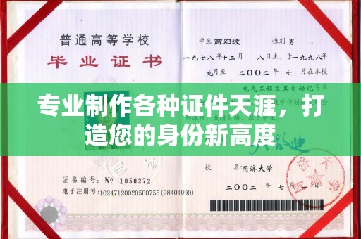 元谋专业制作各种证件天涯，打造您的身份新高度
