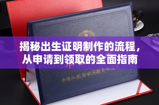 元谋揭秘出生证明制作的流程，从申请到领取的全面指南