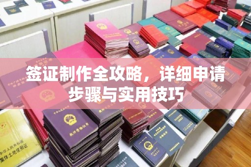 元谋签证制作全攻略，详细申请步骤与实用技巧