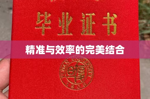 元谋精准与效率的完美结合
